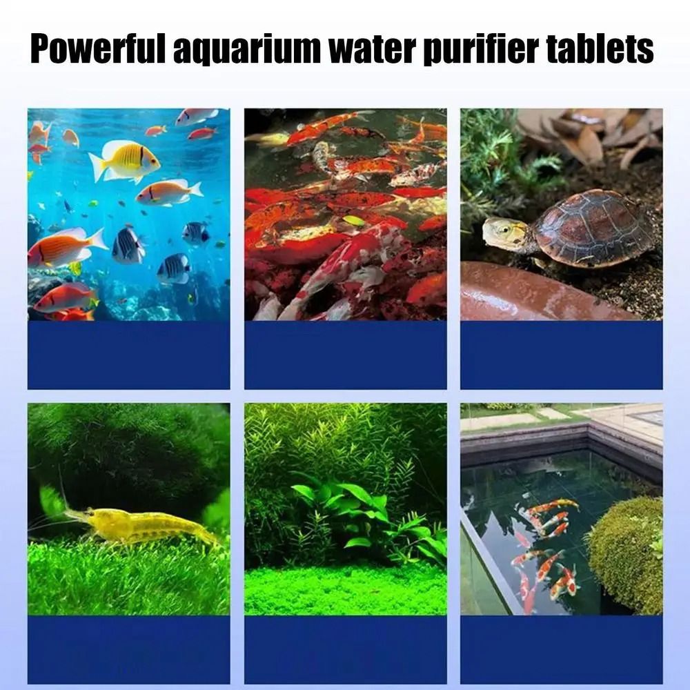 Water Purification Tablet - Potężne tabletki do oczyszczania wody, usuwające